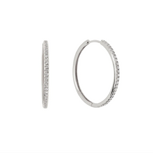 Load image into Gallery viewer, Cecelia Hoops
