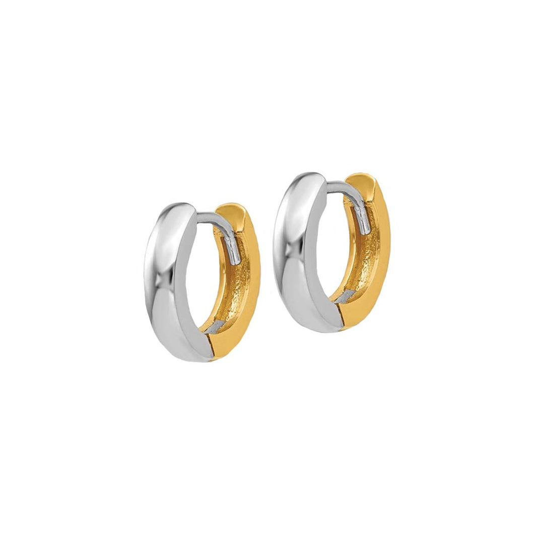 Two Tone Hoops